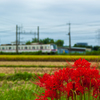 お写ん歩(1)-2（彼岸花×電車）