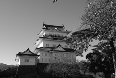 お出かけ(197)-2（小田原城）