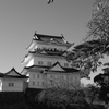 お出かけ(197)-2（小田原城）