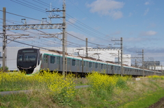 お写ん歩(88)-1（電車×菜の花）