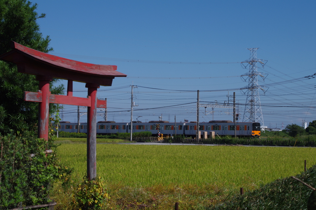 お写ん歩(13)-1（鳥居×電車）