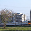 お写ん歩(117)-1（桜×電車）