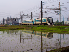 お写ん歩(94)-1（水田×電車）