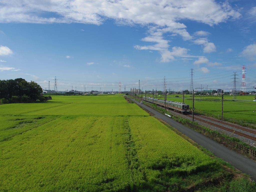 青空と田園と電車(13)