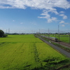 青空と田園と電車(13)