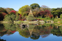 お出かけ(198)-2（紅葉@六義園）