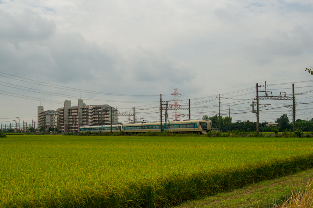 どんより曇り空と電車(15)
