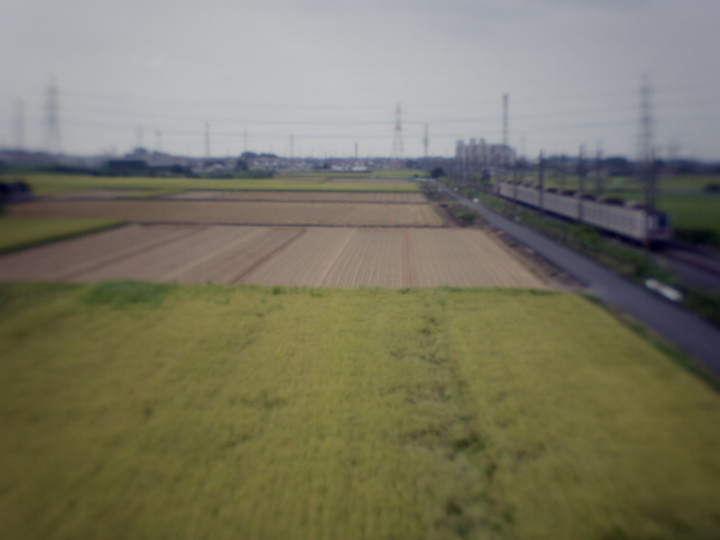 稲刈りが始まりました（＆電車）