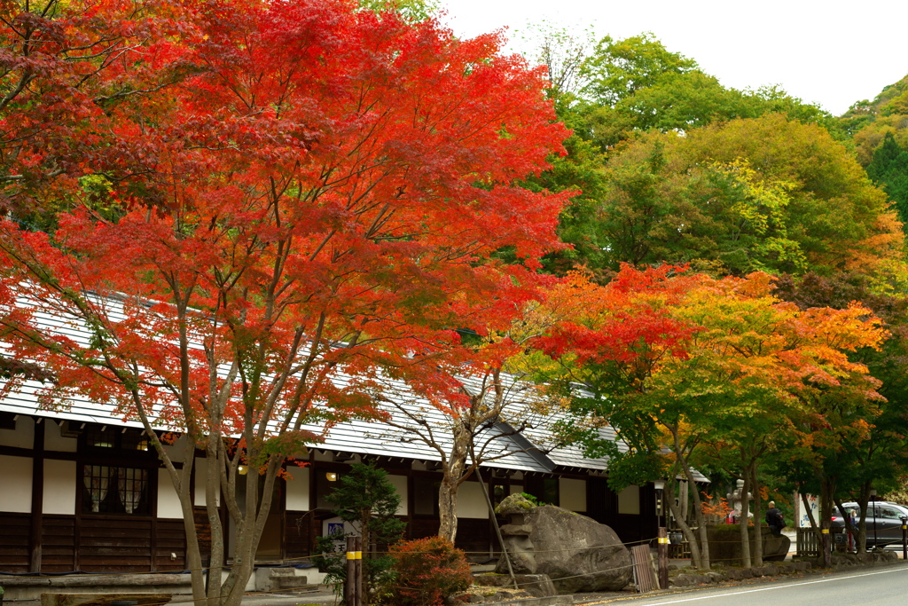 お出かけ(47)-2（紅葉＠白根温泉 大露天風呂薬師之湯）