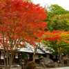 お出かけ(47)-2（紅葉＠白根温泉 大露天風呂薬師之湯）