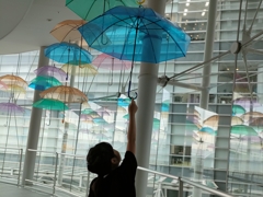 pick an umbrella