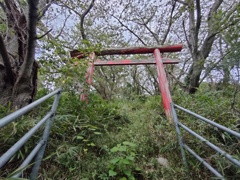 鳥居