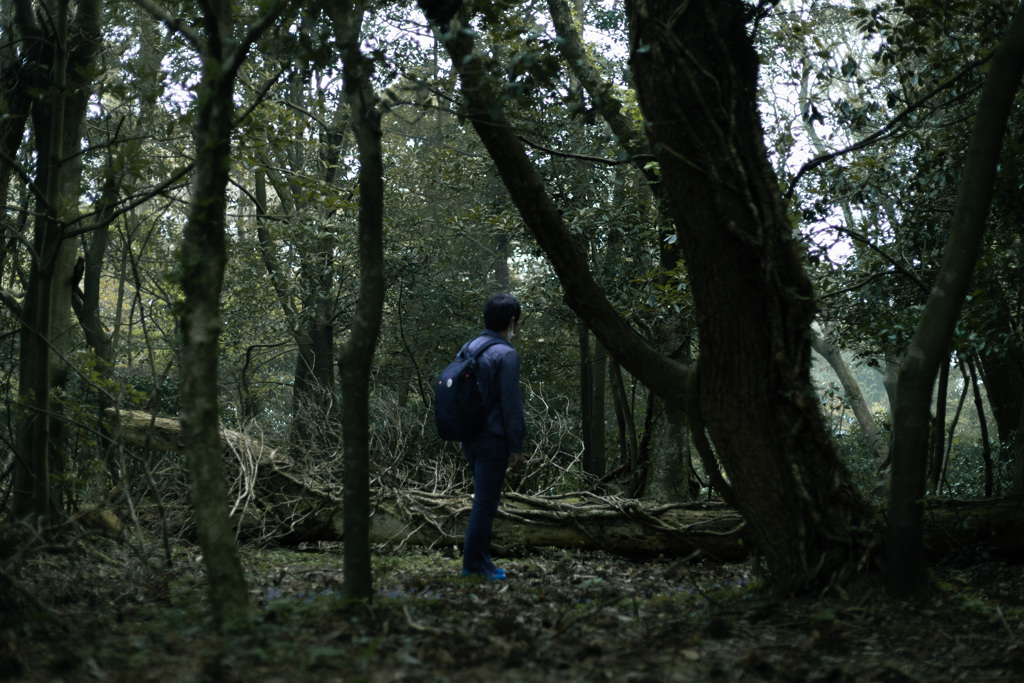 セルフポートレート2