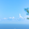 山から海
