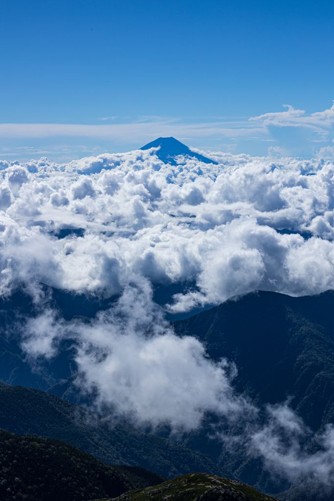 No.2からみるNo.1