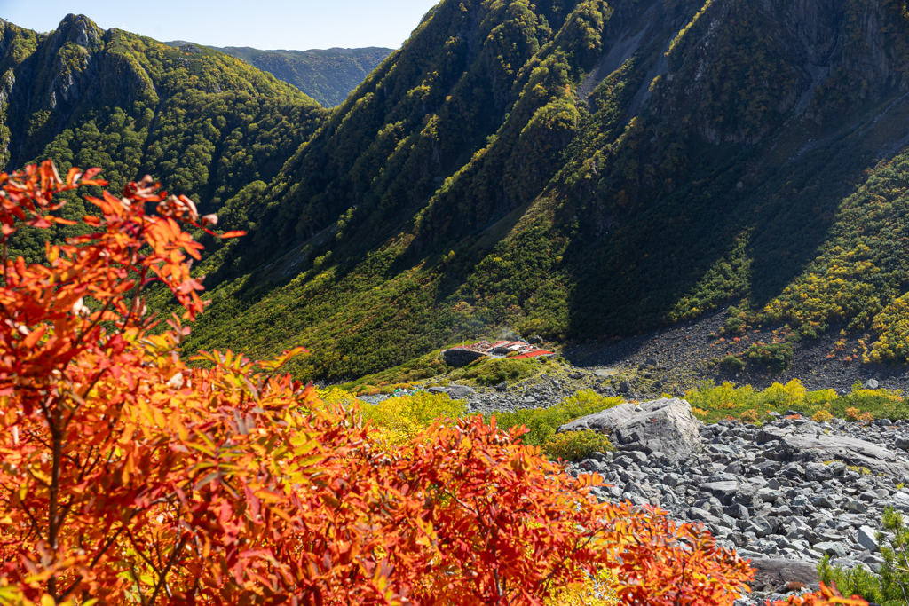 紅葉を見に行こうよー