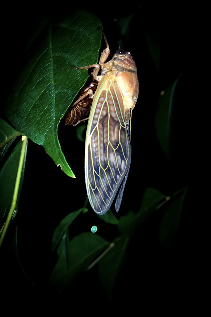 FEF35D38-C35A-4464-8247-8EE3B742A392