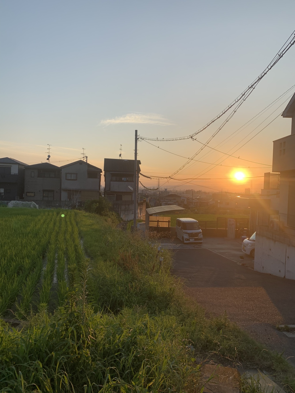 夕焼け