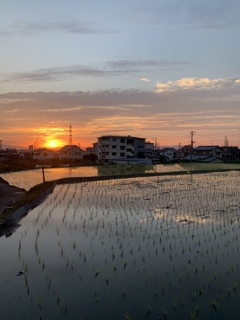 夕焼け