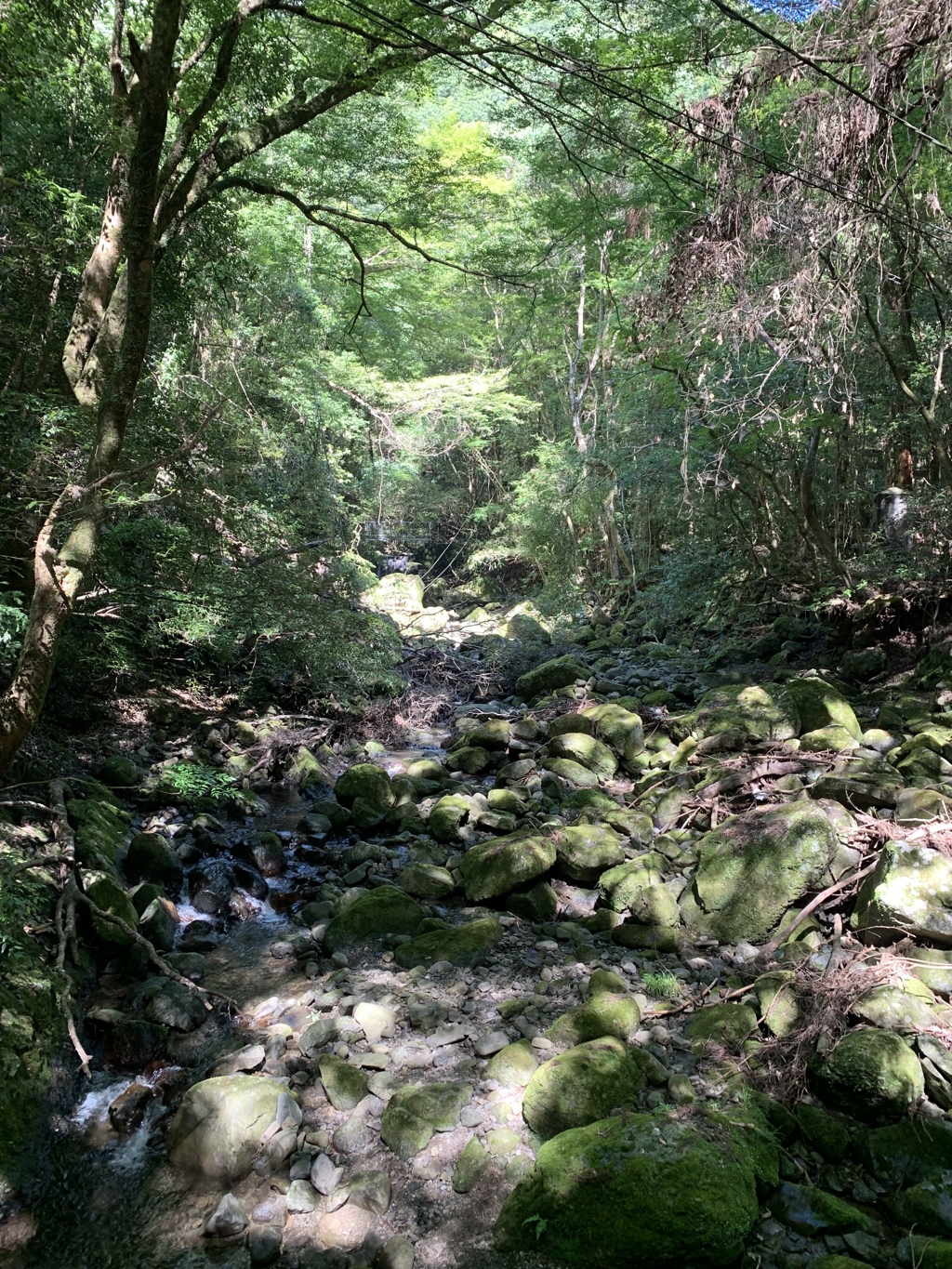 犬鳴山