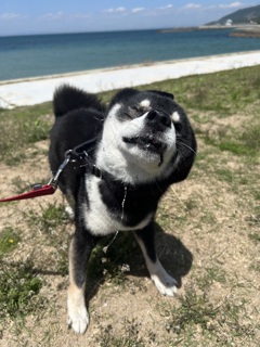 よだれ