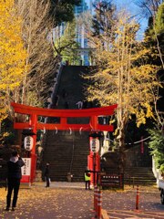 90D6F300-8950-451A-A9F7-1FB9177FB12F
