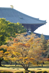 東大寺講堂跡あたり