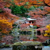 醍醐寺紅葉３