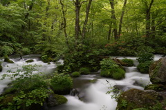 奥入瀬渓流