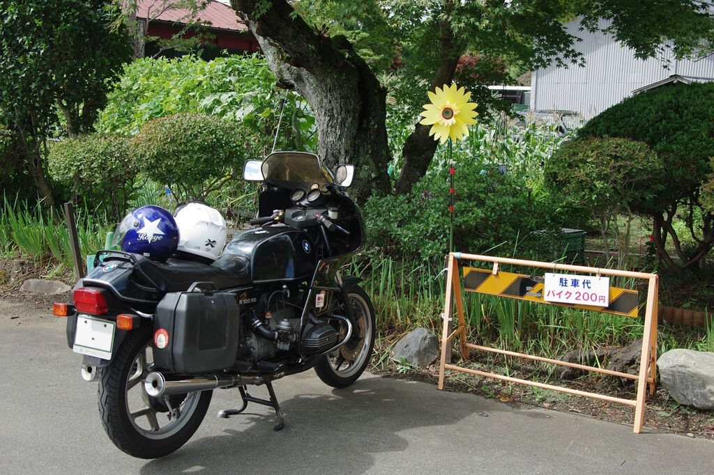 目印はヒマワリ