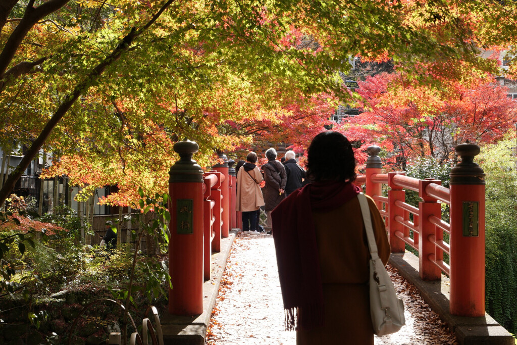 紅葉散策
