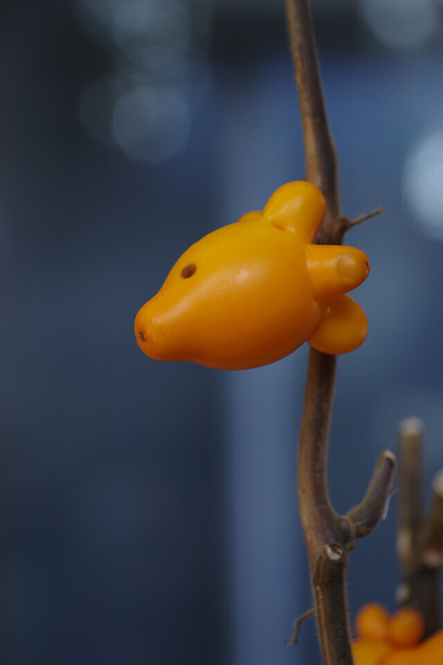 つのなす　もう1枚