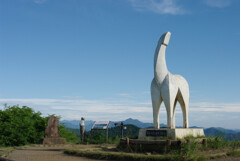 陣馬山山頂