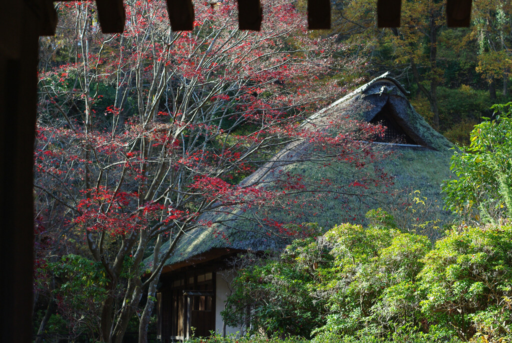 秋晴れの古民家