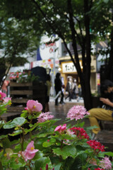 雨上がり