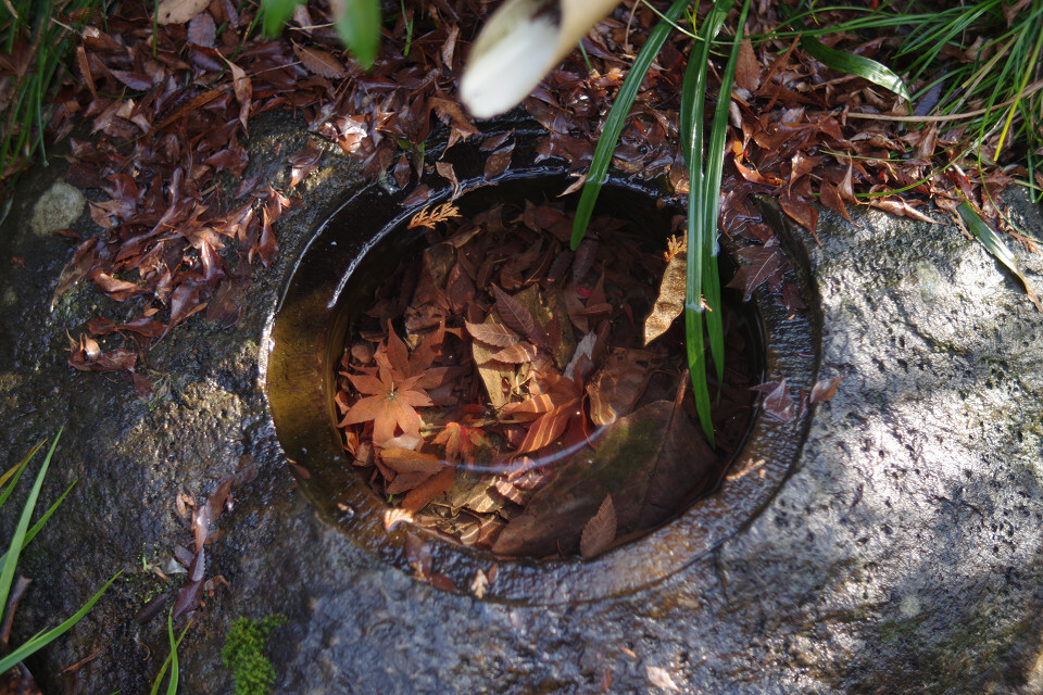 閉じ込められた秋