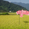 お米守ってます