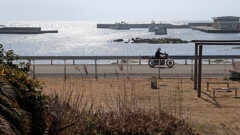 海を見に来た 2