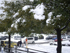 雪を見に来た　駐車場