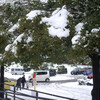 雪を見に来た　駐車場