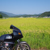 通りすがりの田んぼにて