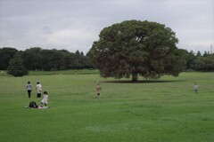 平和だな