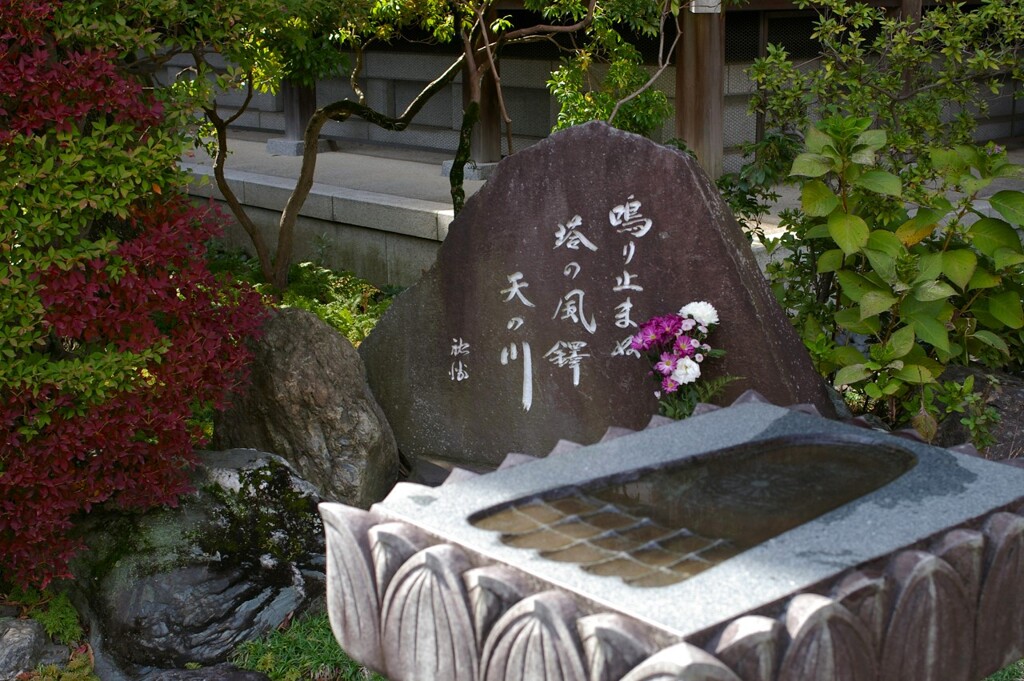 俳句