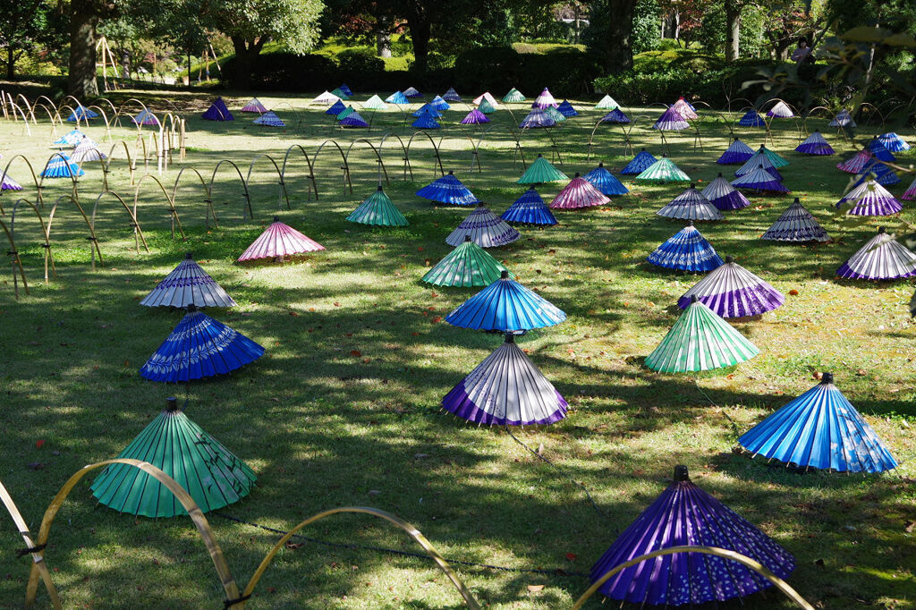 傘の花咲く庭園