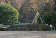 よく行く公園　12月21日