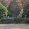 よく行く公園　12月21日