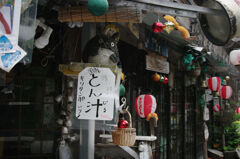 宮ケ瀬のお店