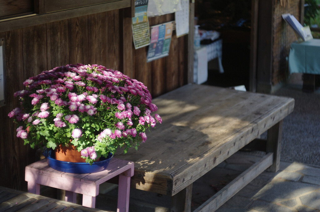 茶屋の店先