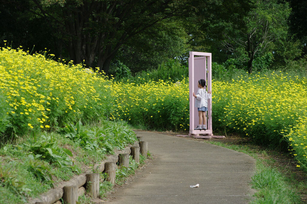 どこ行くの？
