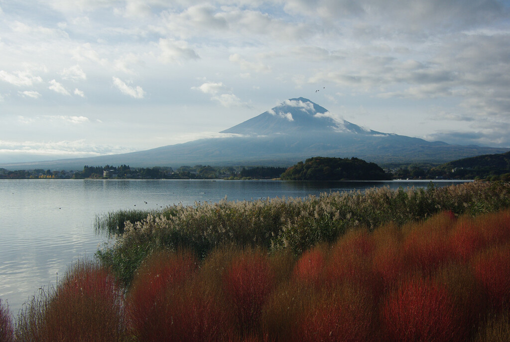 今朝の富士山
